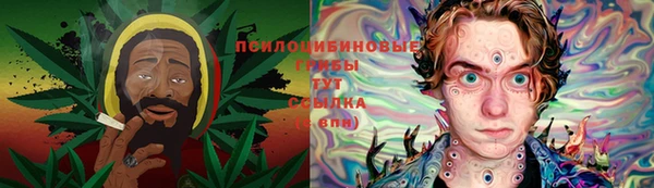 трава Новодвинск