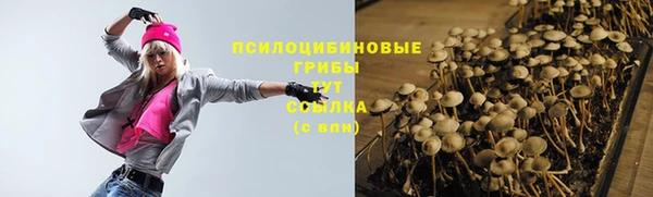СК Новокубанск