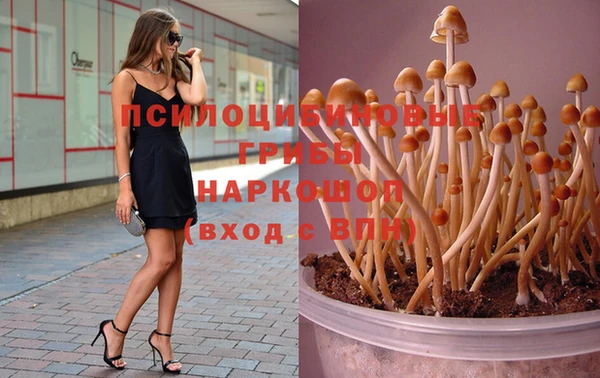 СК Новокубанск