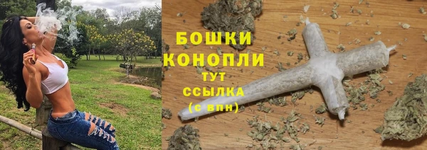 трава Новодвинск