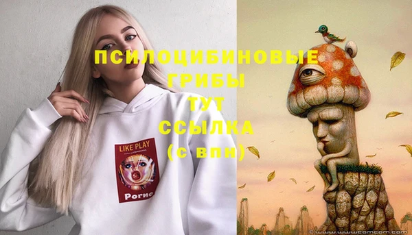 jwh Новозыбков