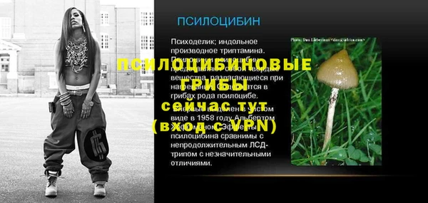 СК Новокубанск