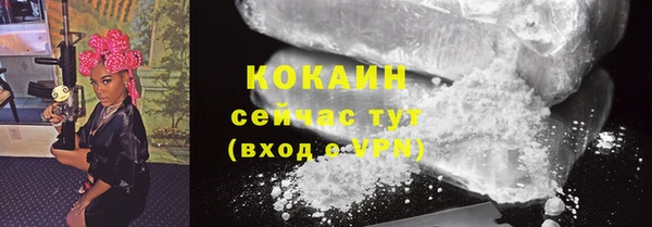 трава Новодвинск