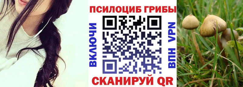как найти наркотики  ОМГ ОМГ как зайти  Псилоцибиновые грибы мицелий  Нязепетровск 