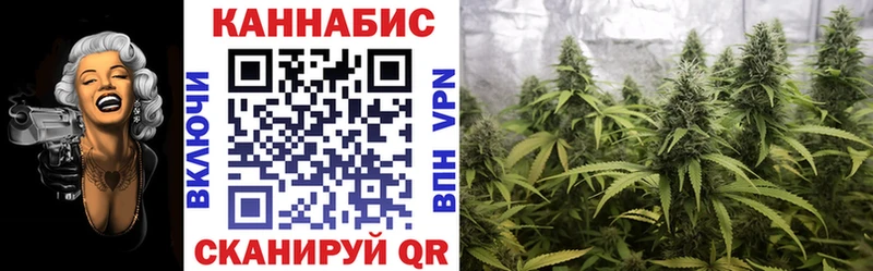 как найти   Нязепетровск  гидра маркетплейс  Шишки марихуана Ganja 
